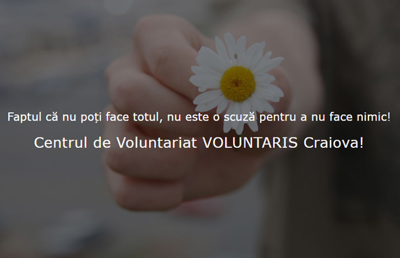 PROIECTUL VOLUNTARIS